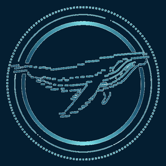 WhaleID — Building the Future of Whale Identification